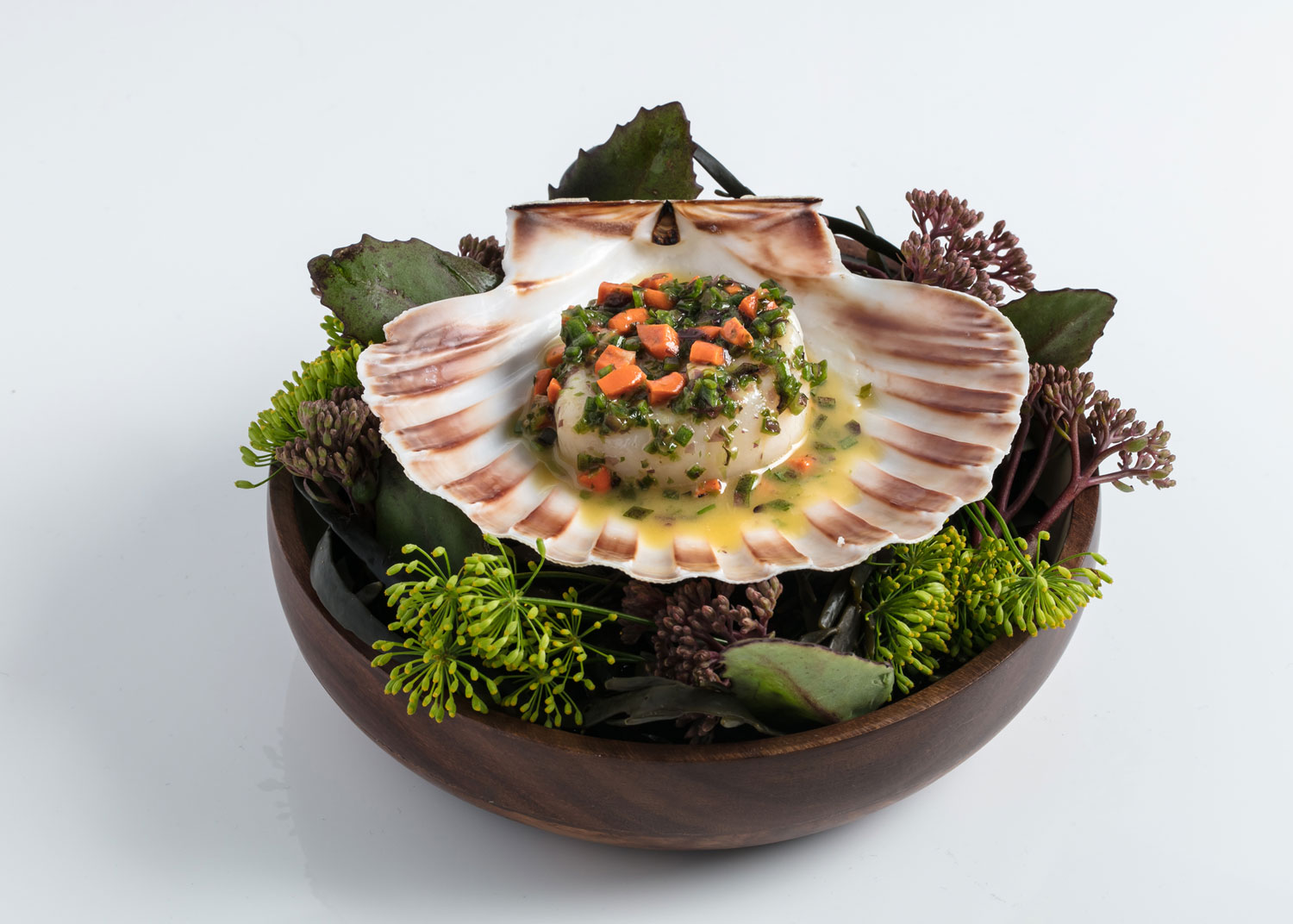 Scallop